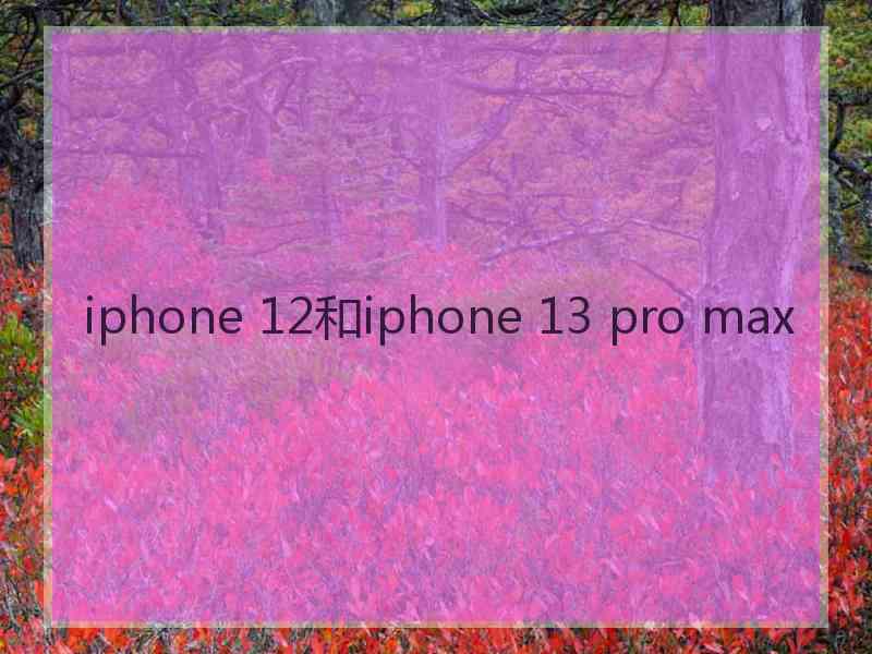 iphone 12和iphone 13 pro max