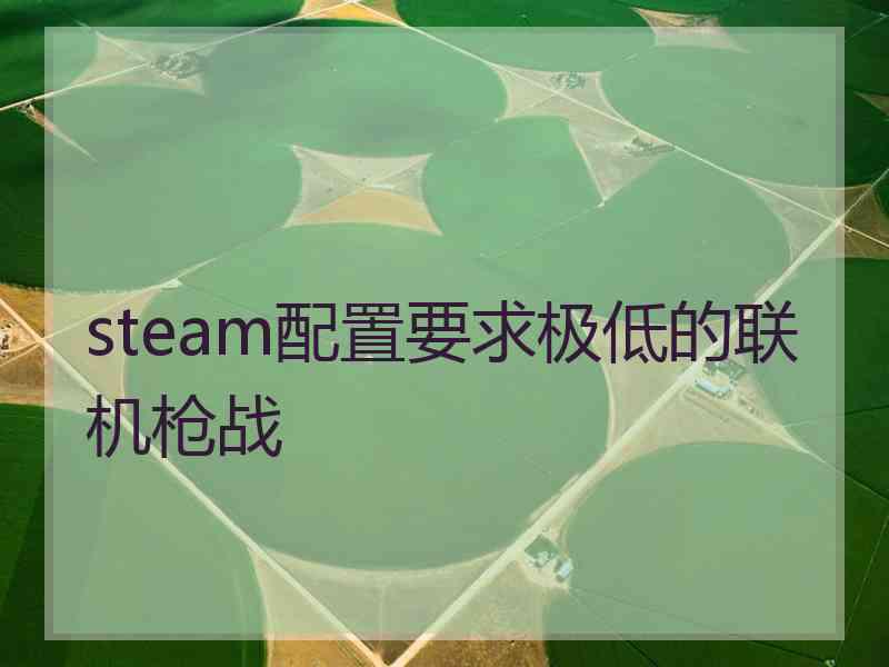 steam配置要求极低的联机枪战