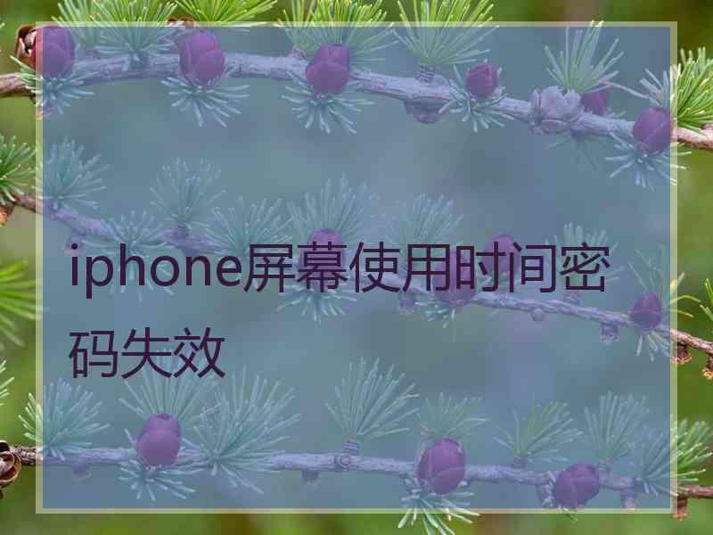 iphone屏幕使用时间密码失效