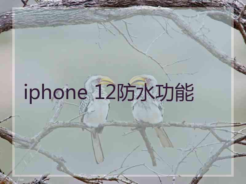 iphone 12防水功能