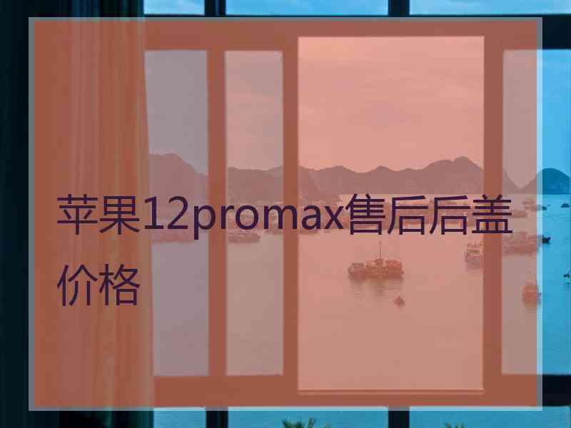 苹果12promax售后后盖价格