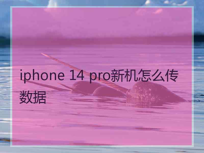 iphone 14 pro新机怎么传数据