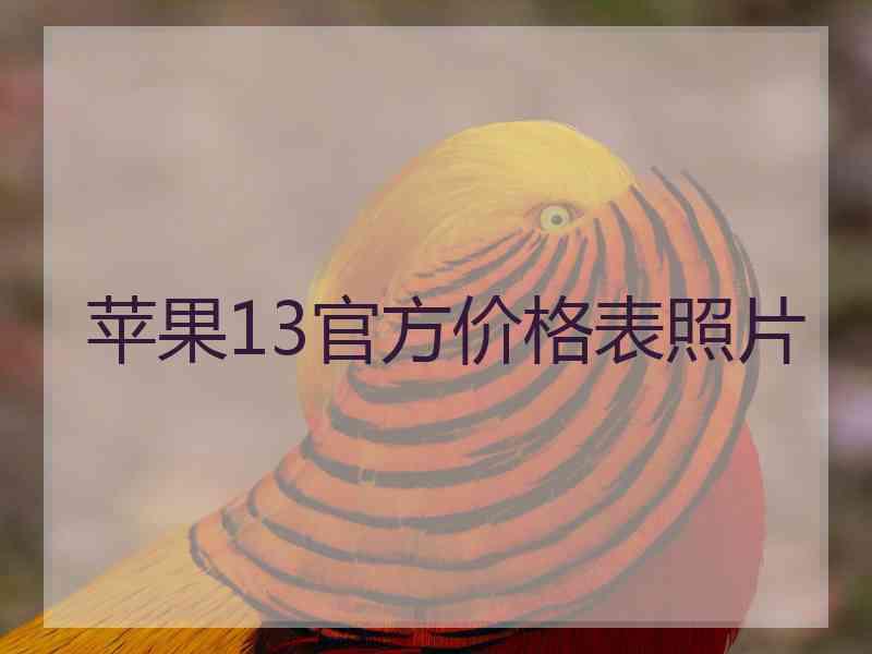 苹果13官方价格表照片