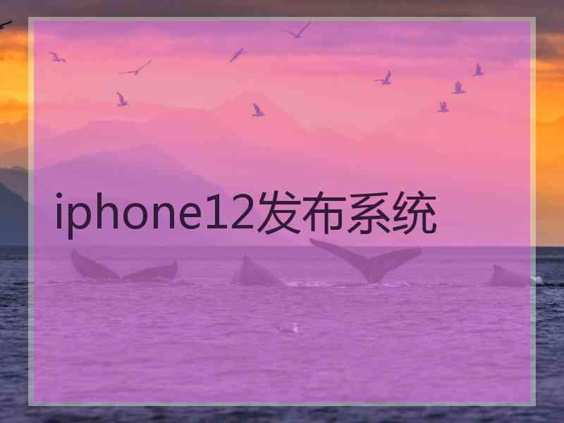 iphone12发布系统