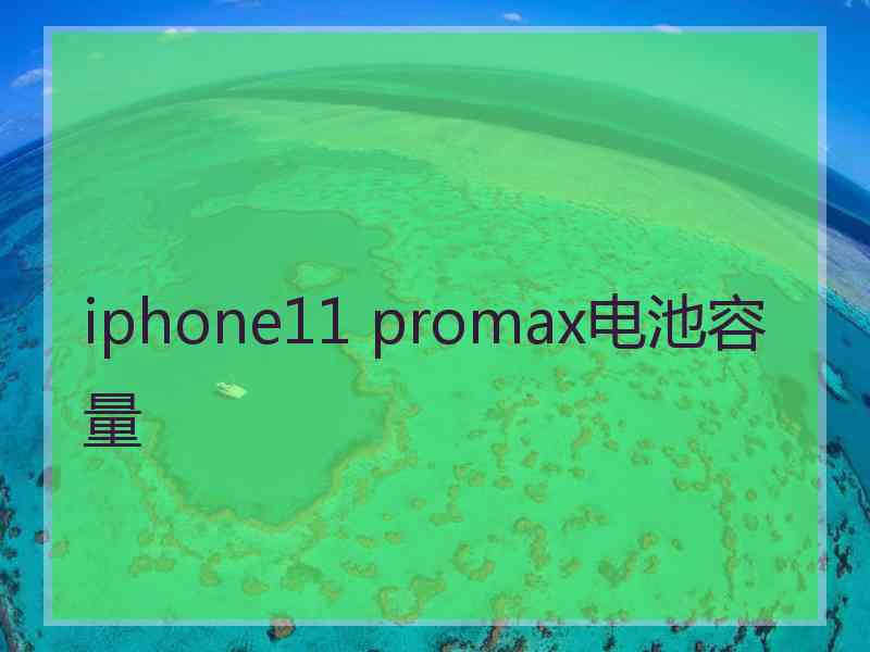 iphone11 promax电池容量