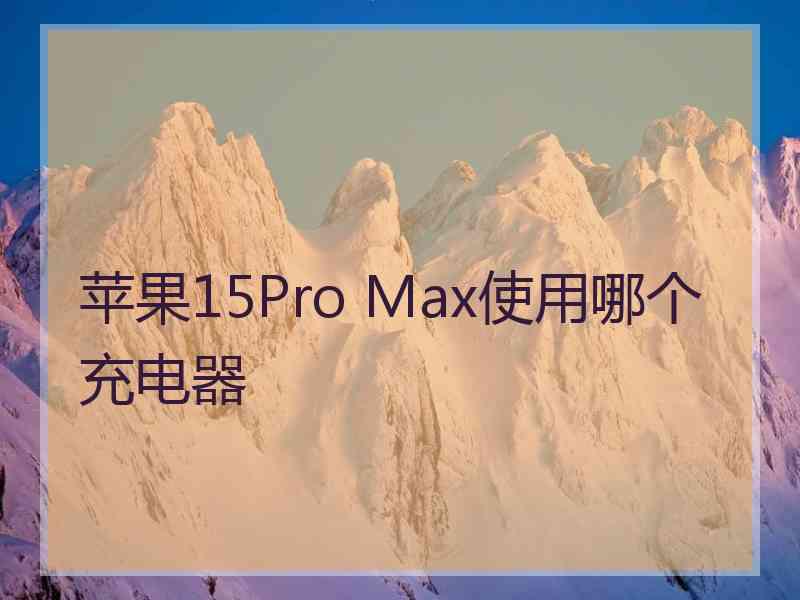 苹果15Pro Max使用哪个充电器