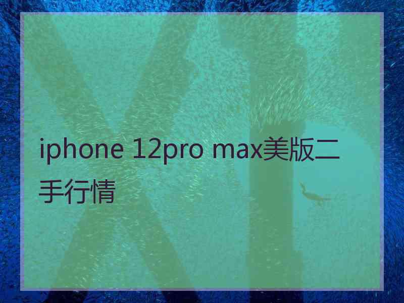 iphone 12pro max美版二手行情