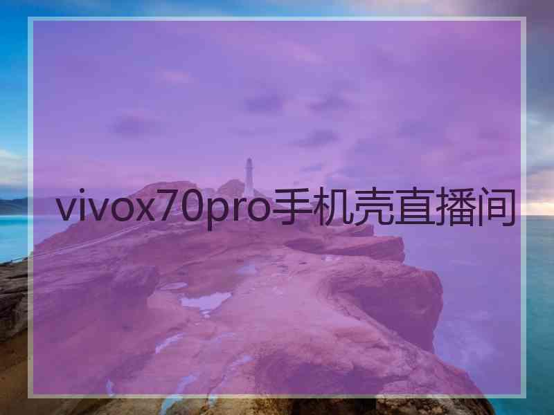 vivox70pro手机壳直播间