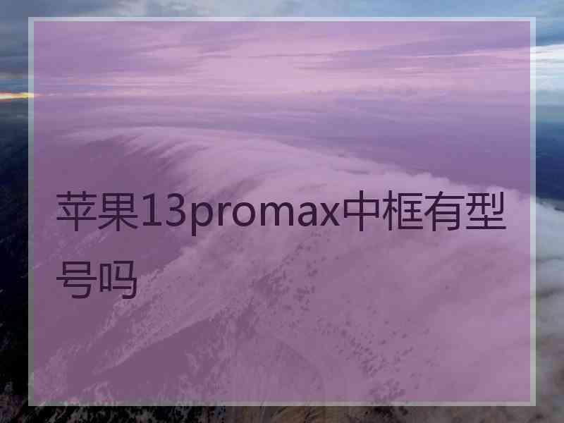 苹果13promax中框有型号吗