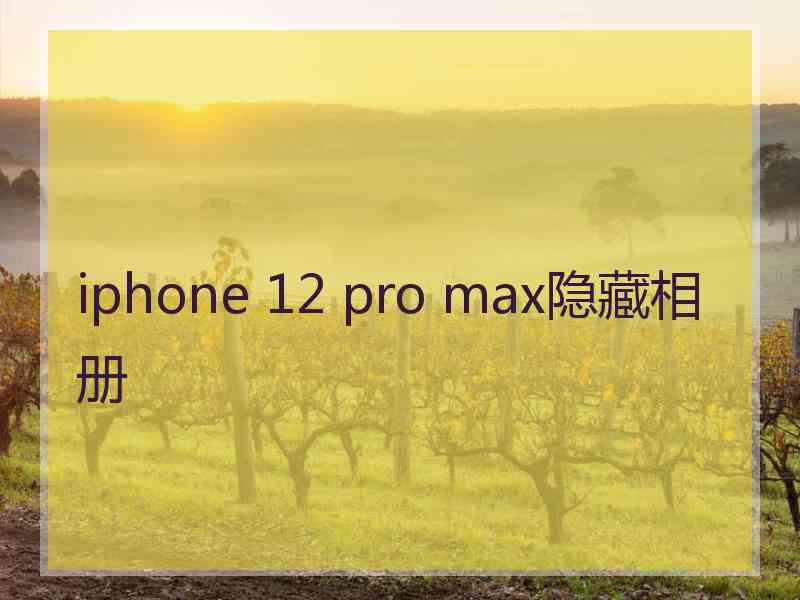 iphone 12 pro max隐藏相册