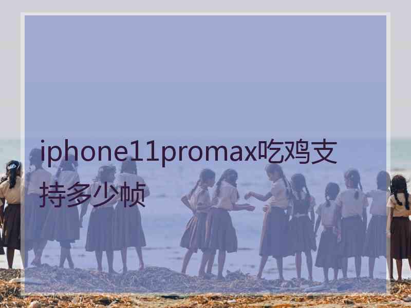 iphone11promax吃鸡支持多少帧