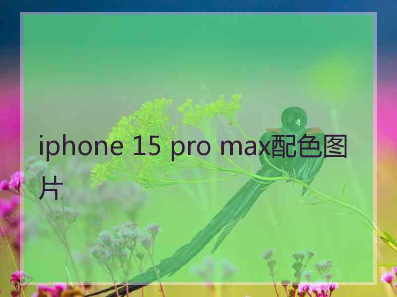 iphone 15 pro max配色图片