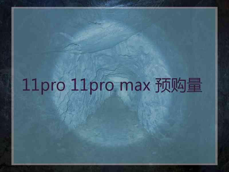 11pro 11pro max 预购量