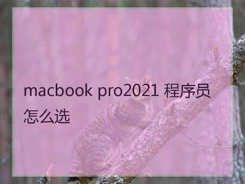 macbook pro2021 程序员怎么选