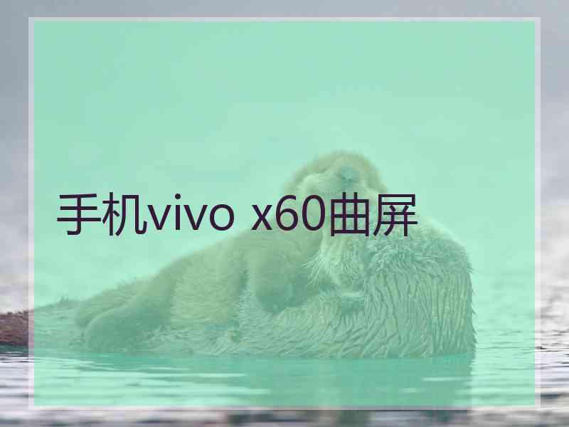 手机vivo x60曲屏