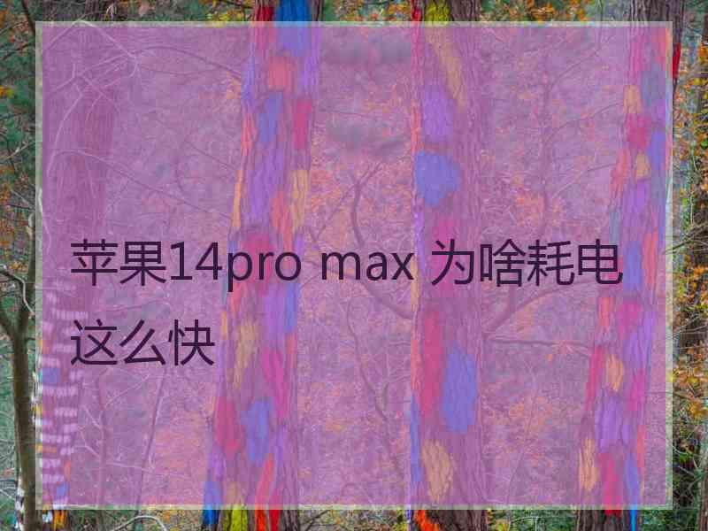 苹果14pro max 为啥耗电这么快