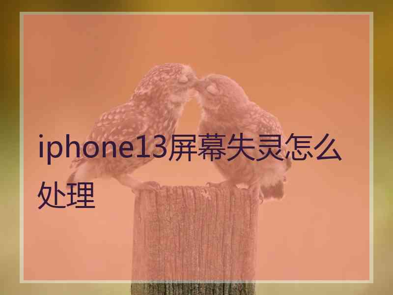 iphone13屏幕失灵怎么处理