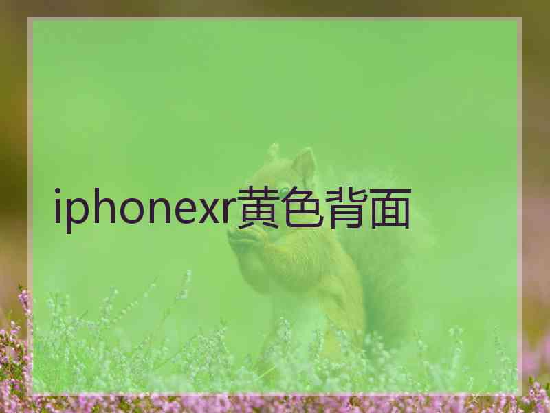 iphonexr黄色背面