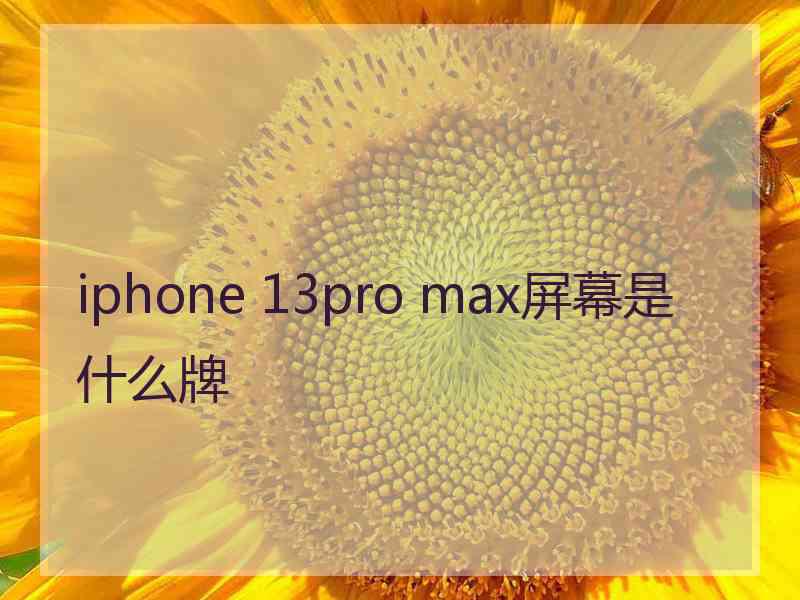 iphone 13pro max屏幕是什么牌