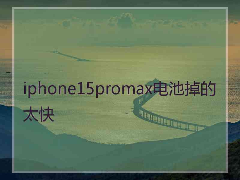 iphone15promax电池掉的太快