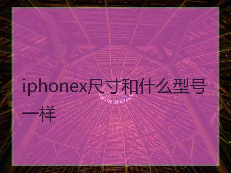 iphonex尺寸和什么型号一样