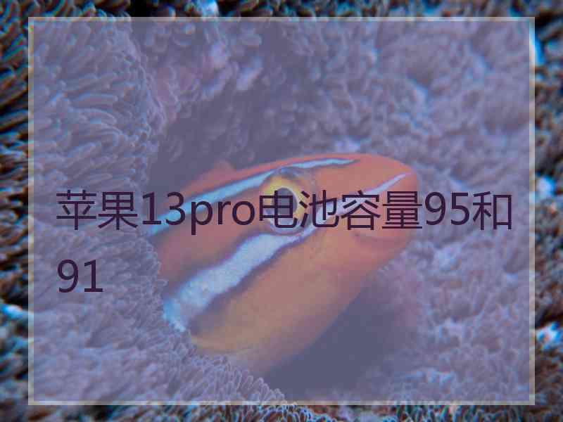 苹果13pro电池容量95和91