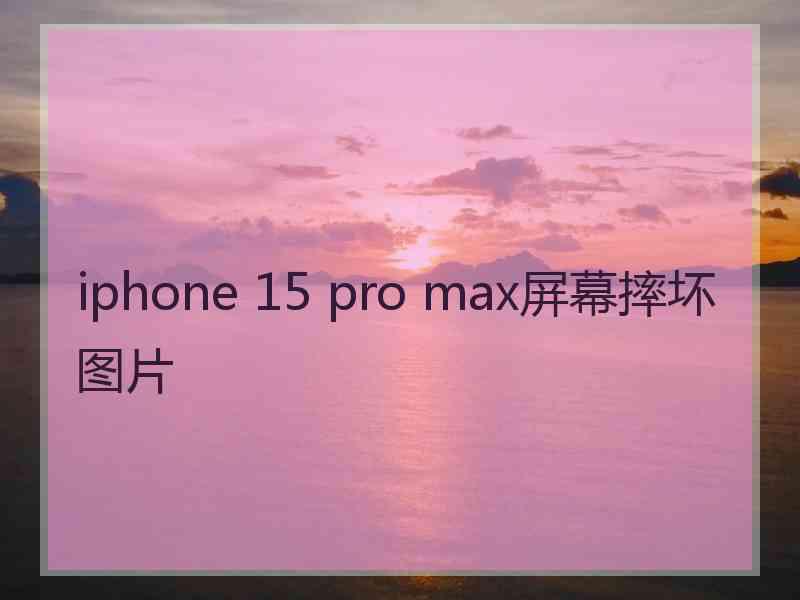 iphone 15 pro max屏幕摔坏图片