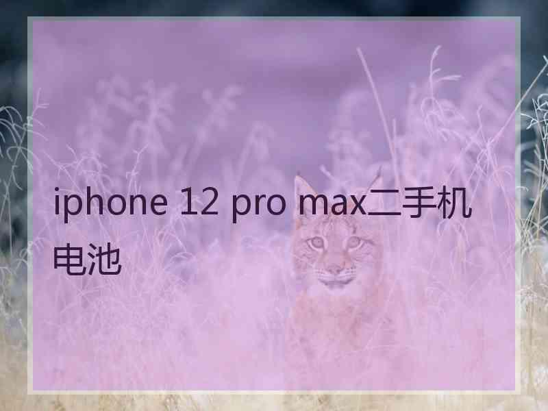 iphone 12 pro max二手机电池