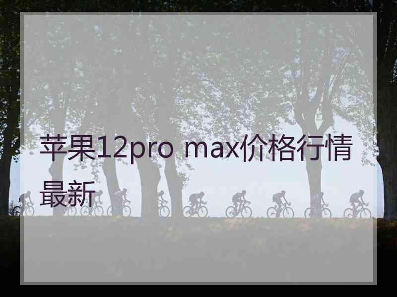 苹果12pro max价格行情最新