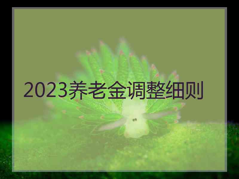 2023养老金调整细则