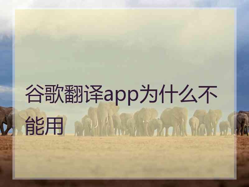 谷歌翻译app为什么不能用