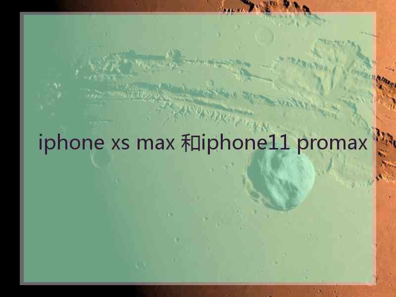 iphone xs max 和iphone11 promax