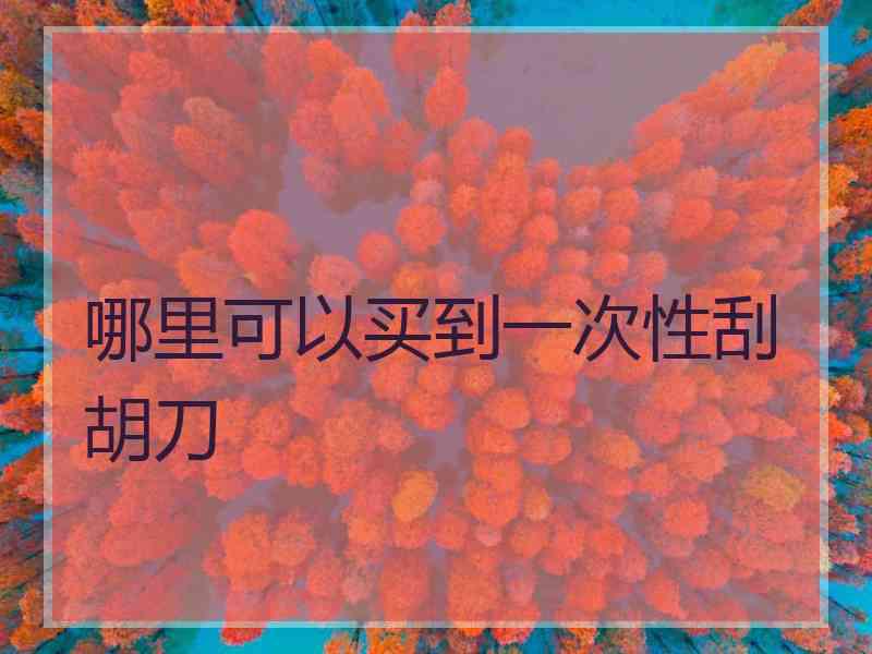 哪里可以买到一次性刮胡刀