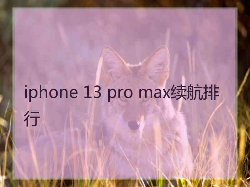 iphone 13 pro max续航排行