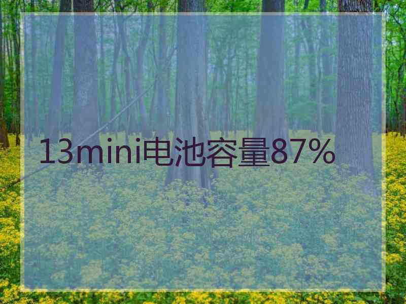 13mini电池容量87%