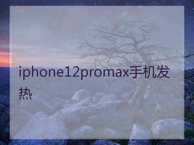 iphone12promax手机发热