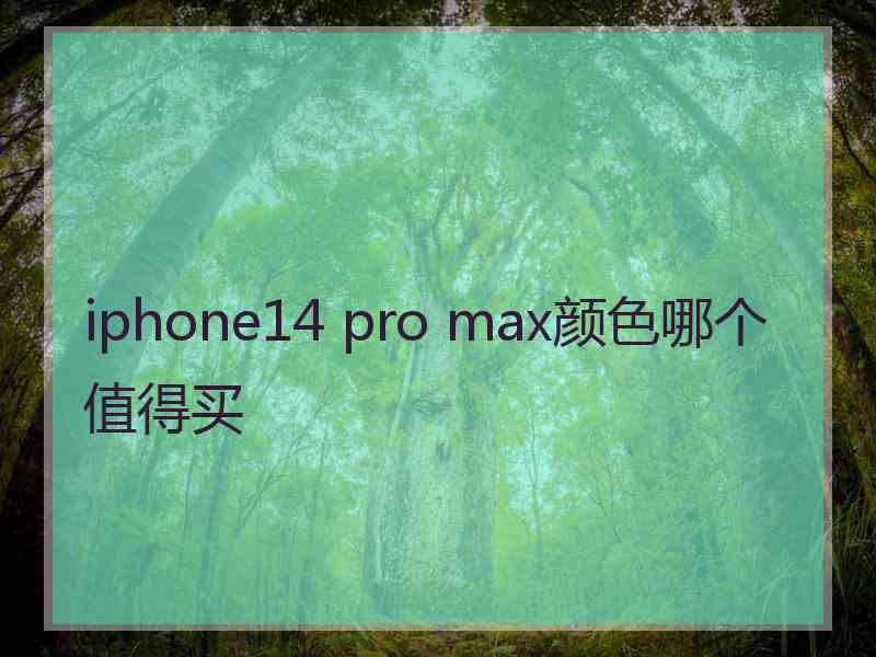 iphone14 pro max颜色哪个值得买