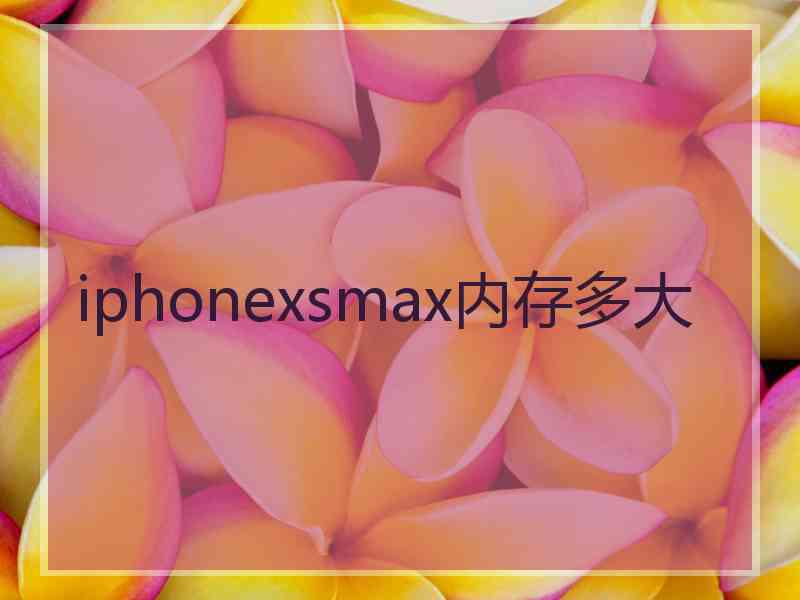 iphonexsmax内存多大