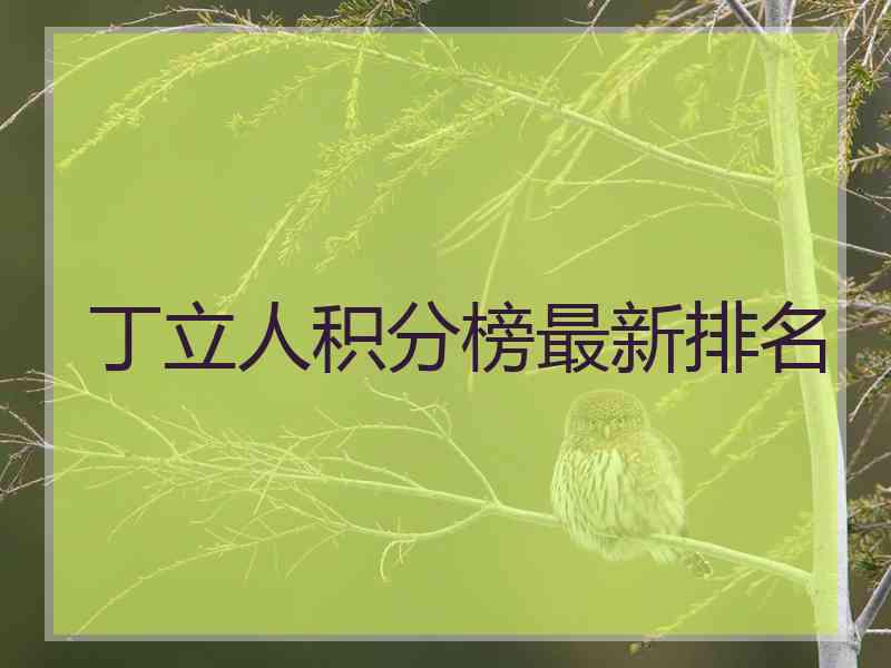 丁立人积分榜最新排名