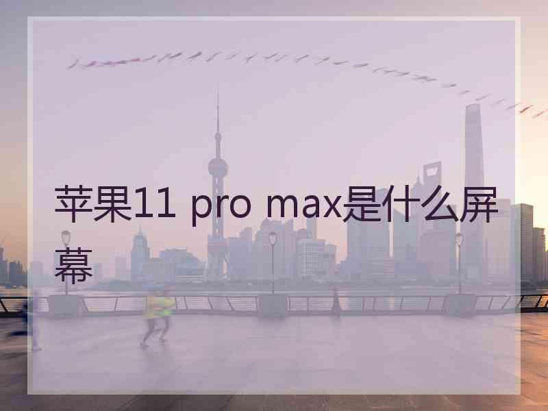 苹果11 pro max是什么屏幕