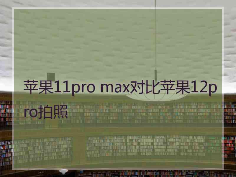 苹果11pro max对比苹果12pro拍照