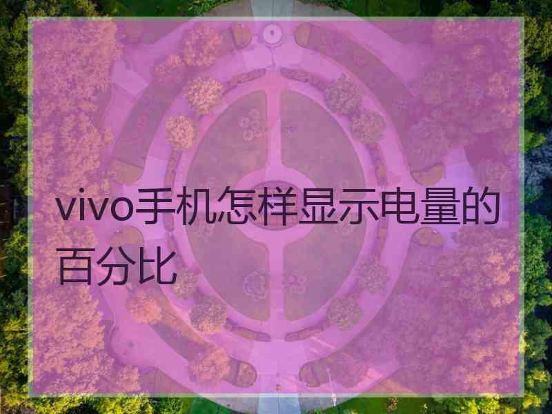 vivo手机怎样显示电量的百分比