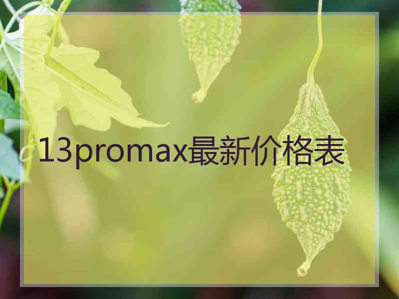 13promax最新价格表