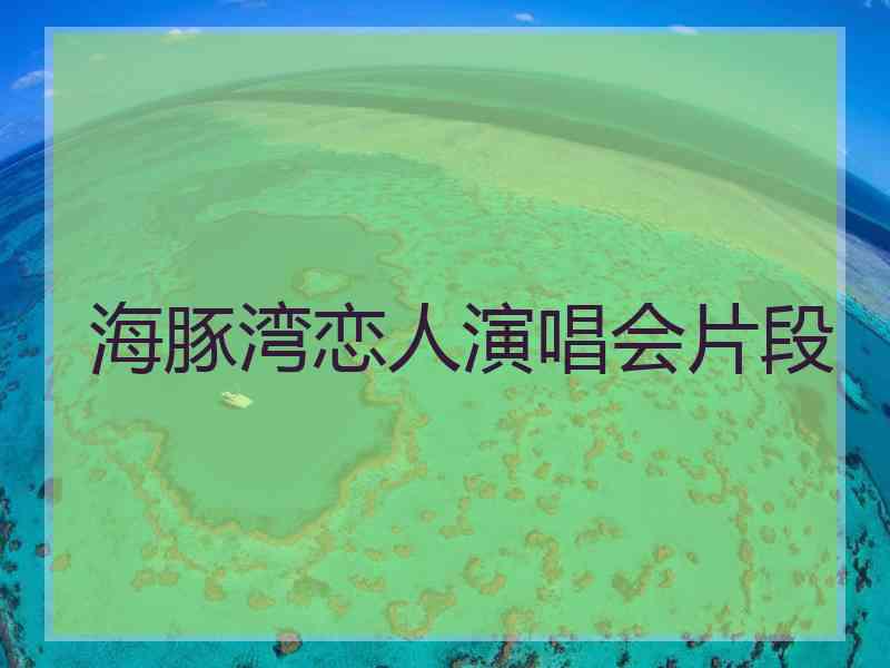 海豚湾恋人演唱会片段