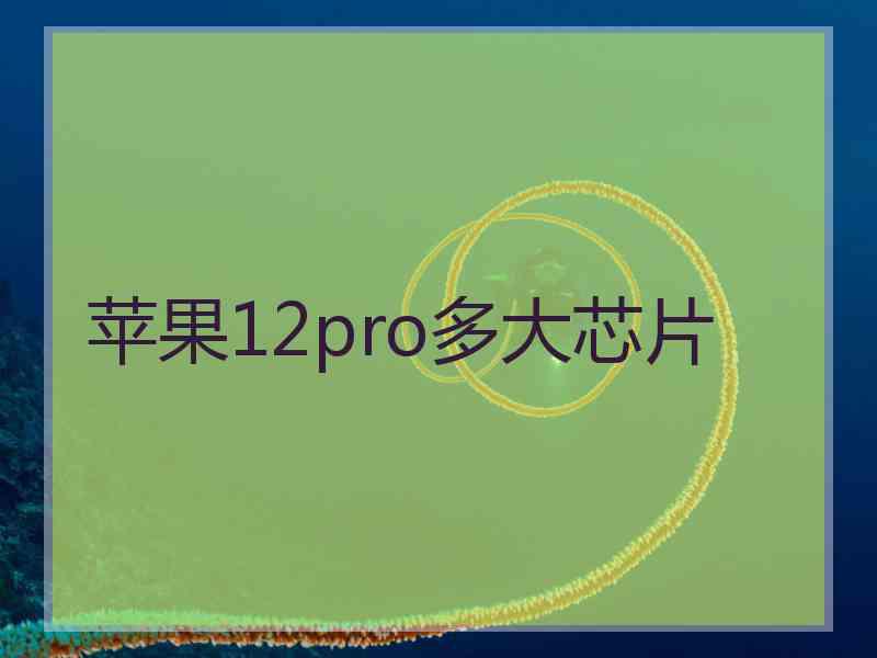 苹果12pro多大芯片