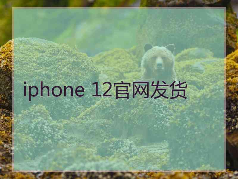 iphone 12官网发货