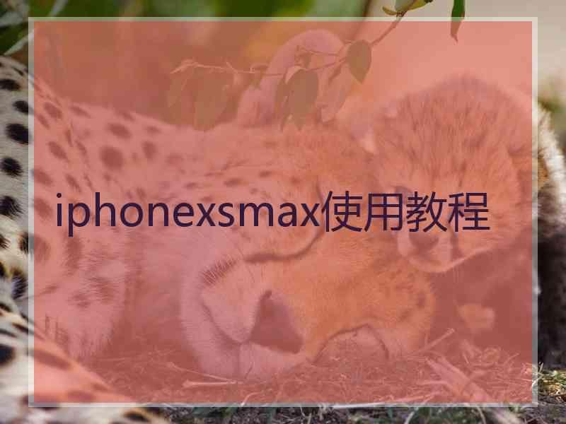 iphonexsmax使用教程