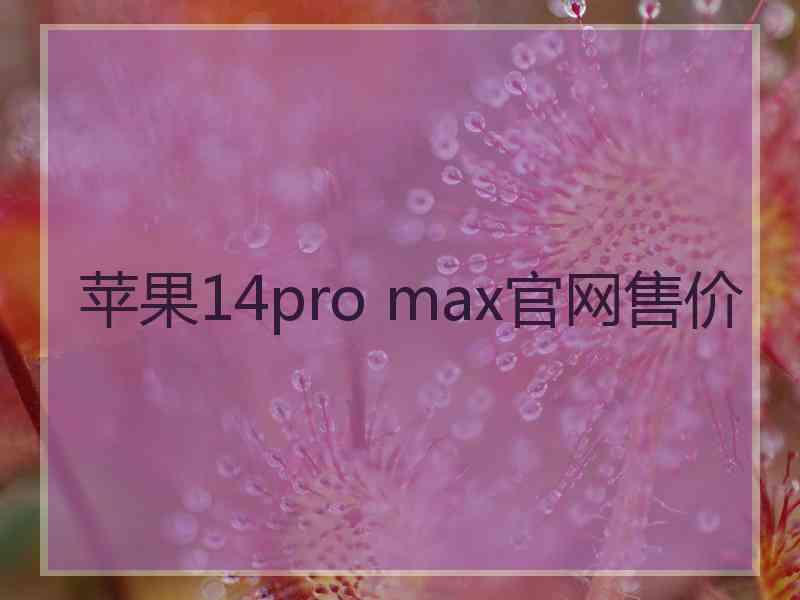 苹果14pro max官网售价