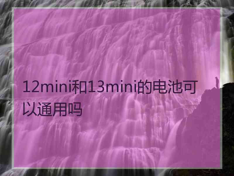 12mini和13mini的电池可以通用吗