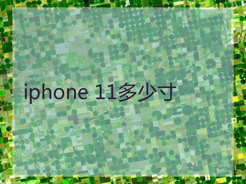 iphone 11多少寸